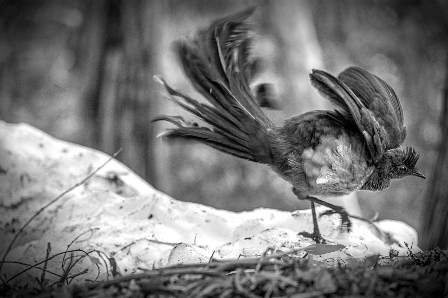 220620_763_BW